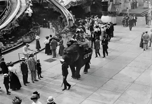 Coney Island, Riding Elephant, 1911. Creator: Bain News Service
