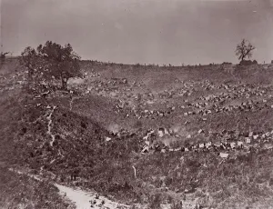River Potomac Prints: Confederate Prisoners at Belle Plain, May 12, 1863. Creator: Tim O Sullivan