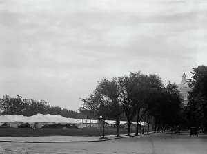 Marquee Prints: Confederate Reunion - Tents For Confederates