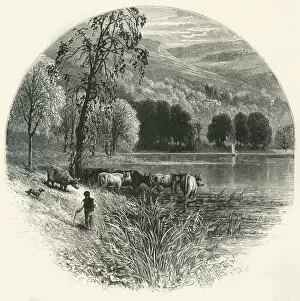 Cumbria England Gallery: Coniston Water, c1870