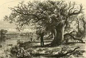 Woodward John Douglas Gallery: The Connecticut, above Middletown, 1874. Creator: James L. Langridge