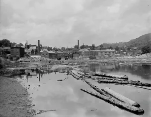 Logging Prints: Connecticut River below Bellows Falls, Vt. between 1900 and 1910. Creator: Unknown