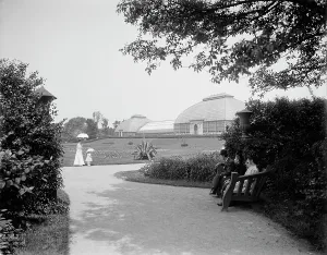 Greenhouse Prints: Conservatory, Washington Park, Chicago, Ill. between 1900 and 1910. Creator: Unknown