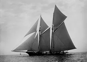 Constellation, 1892 Aug 6. Creator: Johns Johnston