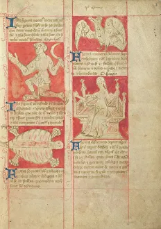 Turtle Prints: Constellation; Astronomical and Medical Miscellany