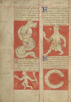 Pen And Black Ink And Tempera Prints: Constellation; Astronomical and Medical Miscellany