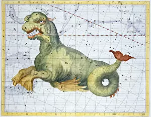 Whale Collection: Constellation of Cetus (the Whale), 1729