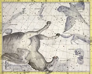 Pegasus Prints: Constellation of Pegasus, 1729