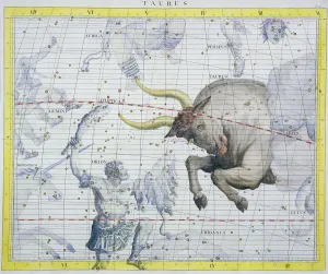 Flamsteed Prints: Constellation of Taurus, 1729
