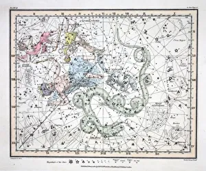 The Constellations (Plate II) Ursa Minor, Cassiopeia, Tarandus, Cepheus, Draco