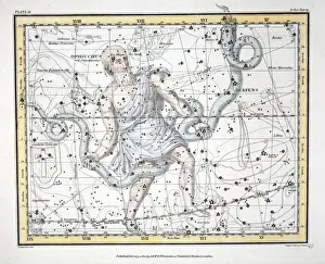 Aesculapius Collection: The Constellations (Plate IX) Olphiuchus, or Serpentarius, and Serpens, 1822
