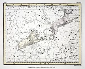 Constellation Gallery: The Constellations (Plate V) Lynx, Leo Minor, 1822