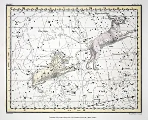 Constellation Gallery: The Constellations (Plate V) Lynx, Leo Minor, 1822