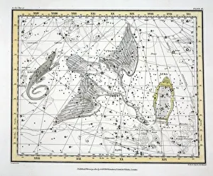 Constellation Prints: The Constellations (Plate XI) Cygnus, Lacerta and Via Lactea, 1822