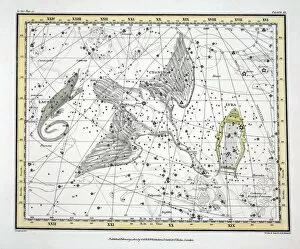 The Lizard Gallery: The Constellations (Plate XI) Cygnus, Lacerta and Via Lactea, 1822