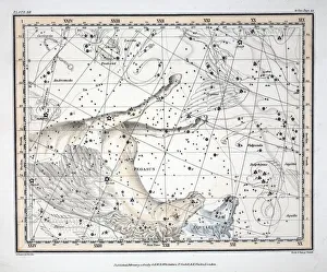 The Constellations (Plate XII) Pegasus, and Equuleus, 1822