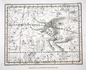 Constellation Gallery: The Constellations (Plate XIV)Taurus, 1822