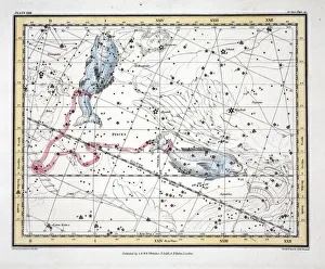 Constellation Gallery: The Constellations (Plate XXII) Pisces, 1822