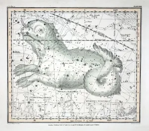 The Constellations (Plate XXIII) Cetus, Officina Sculptoris, Machina Electrica The Constellations (Plate XXIII) Cetus, Officina Sculptoris, Machina Electrica