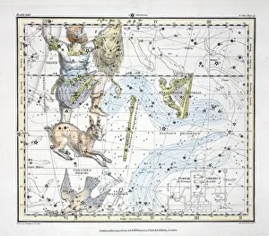The Constellations (Plate XXIV), 1822 The Constellations (Plate XXIV), 1822