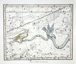 The Constellations (Plate XXVII) Hydra Continua, Crater, Covus, Centaurus et Lupus, 1822 The Constellations (Plate XXVII) Hydra Continua, Crater, Covus, Centaurus et Lupus, 1822