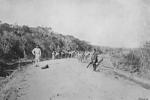 Axel Gallery: Construccao de um Estrada de Rodagem (S. Bernardo), 1895. Artist: Axel Frick
