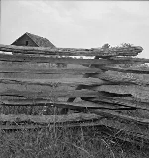 Rail Gallery: Construction detail of rail fence, Person County, North Carolina, 1939. Creator: Dorothea Lange