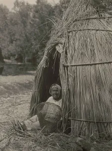 Construction of a tule shelter-lake Pomo, 1924. Creator: Edward Sheriff Curtis