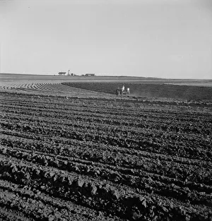 Mechanisation Prints: Contour plowing on mechanized farms