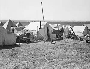 Flue Collection: Contractors camp for pea pickers, Santa Clara Valley, 1939. Creator: Dorothea Lange