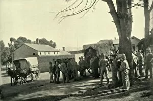 Cape Town Gallery: Conveying Wounded to Wynberg Hospital Camp, 1900. Creator: Alfs Hosking