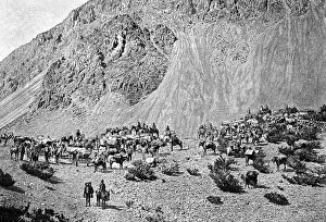 Images Dated 5th February 2008: Convoy of muleteers at the foot of the Cordillera, South America, 1895