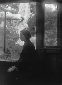 Interiors Prints: Cooke, Helen, Miss, portrait photograph, 1909 July 15. Creator: Arnold Genthe