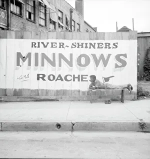 Coon dawgling, Memphis, Tennessee, 1936. Creator: Dorothea Lange