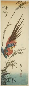 Pheasant Prints: Copper pheasant and bamboo, 1840s. Creator: Ando Hiroshige