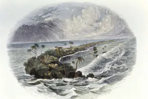 Theory Of Evolution Prints: Coral Reef and island