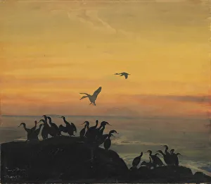 National Museum Of Art Prints: Cormorants by sunset