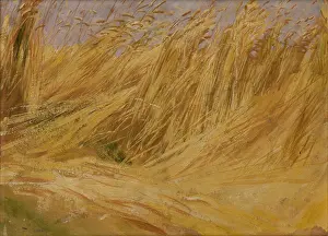 Bending Prints: Corn Field (Study), 1901. Creator: Wlodzimierz Tetmajer