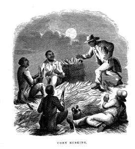 Corn Husking'; Negro labourers husking maize, southern USA, c1850 Corn Husking'; Negro labourers husking maize, southern USA, c1850