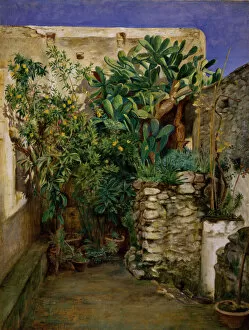 Cactus Gallery: Corner of an Eastern Courtyard, 1860. Creator: Henry Wallis