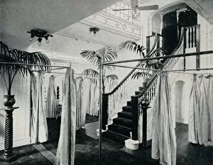 Houseplant Gallery: A Corner of the Ladies Exercise Hall, c1898