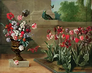 Tulipa Prints: Corner of Monsieur de la Bruyere's Garden