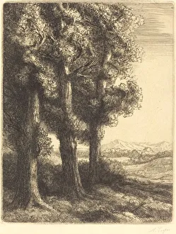 Corner of a Wood (Coin d un bois). Creator: Alphonse Legros