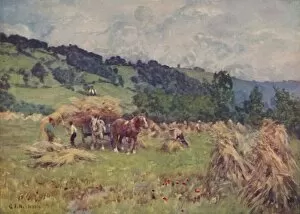 Shire Horse Gallery: A Cornfield, 1910. Artist: George F Nicholls