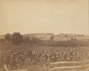 Eakins Prints: [Cornfield in Back of the Barn], 1883. 1883. Creator: Thomas Eakins