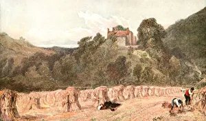 Sheaf Prints: A Cornfield, c1840s, (c1900). Creator: Unknown