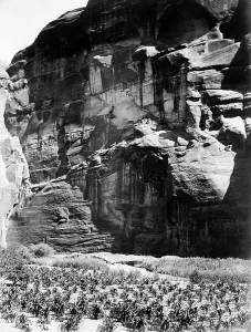 Subsistence Prints: Cornfields of Cañon del Muerto, 1906, c1907. Creator: Edward Sheriff Curtis