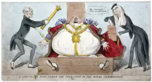 Obese Gallery: A corporate body under the operation of the Royal Commission, c1835