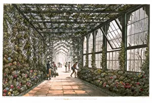 Joseph Constantine Prints: Corridor of a conservatory, 1808. Artist: Joseph Constantine Stadler