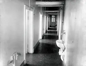 Ivan Prints: The corridor with washbasins in the special clinic for animals in the Physiology Department